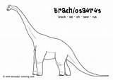 Brachiosaurus Herbivore Necked Adults sketch template