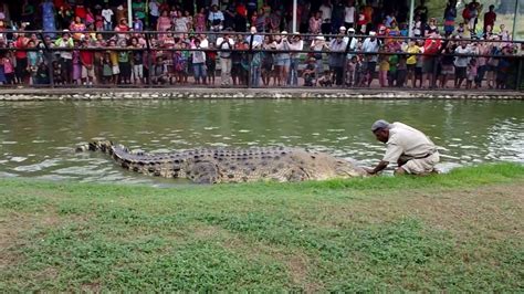 Papua New Guinea S Crocodile Man Youtube