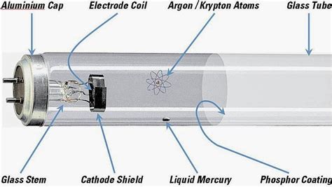 science    fluorescent lamps   structure