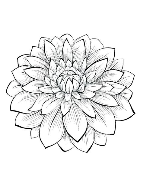 cool flower coloring pages  getcoloringscom  printable