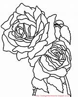 Bunga Mawar Mewarnai Untuk Paud Seni Bermanfaat Semoga Kreatifitas Jiwa sketch template