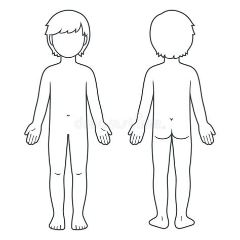 human body outline front  stock illustrations  human body