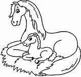Foal Coloring Pages Mare Colouring Horse Pony Mustang Book Fairy Library Getdrawings Getcolorings Printable Kids Popular Kitty Purple Cartoon Watercolor sketch template