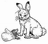 Mitten Coloring Rabbit Jan Brett Pages Janbrett Kleurplaten Konijn Story Afkomstig Van Boy Little Mittens sketch template