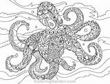 Coloring Pages Octopus Adult Adults Book Color Print Colouring Coloringgarden Mandala Printables Sagittarius Facts Fun Some Other Description sketch template