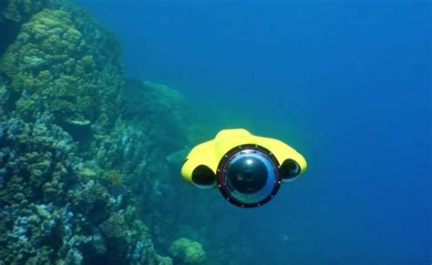 drone     films underwater wordlesstech