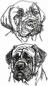 Dogue Bordeaux Embroidery Machine Designs Mastiff French English Paper Set Chien Coloring Pages sketch template