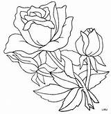 Rosas Tulipanes sketch template