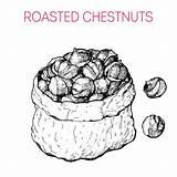 Chestnuts Chestnut Drawn sketch template