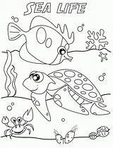 Coloring Pages Underwater Sea Under Popular sketch template