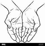 Hands Together Cupped Vector Illustration Sketch Background Isolated Alamy sketch template