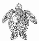 Colouring Turtle Coloring Pages Adult Animal Aboriginal Sheets Book Print Turtles Books Drawing Beach Freeman Oceanne Drawings Tatoo Tattoos Body sketch template