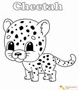 Cheetah Coloring Sheet Kids sketch template