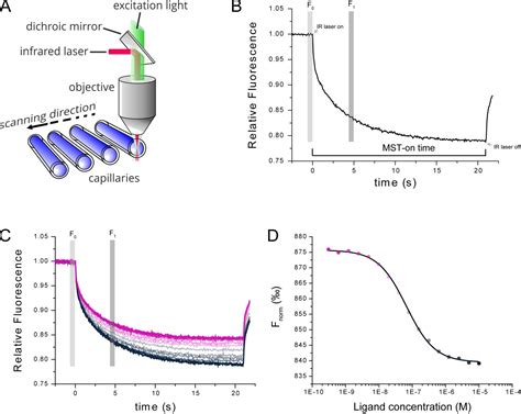 measuring aptamer small molecule interactions  mst bind service