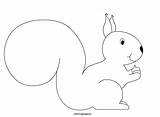 Squirrel Coloring sketch template