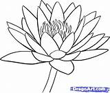 Lily Water Drawing Flower Lotus Draw Coloring Flowers Drawings Outline Step Simple Lilies Waterlily Plant Clipart Lilly Dragoart Painting Getdrawings sketch template