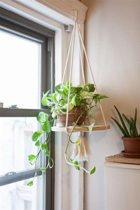 great ideas  display indoor plant hanging plants diy window plants rope plant hanger