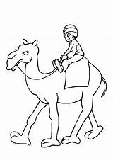 Camello Montando Camelo Colorir Kamel Dibujosonline Categorias Ausmalbilder Colorironline Momjunction sketch template