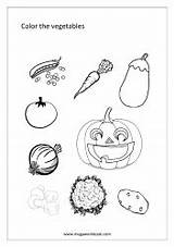 Coloring Pages Vegetable Miscellaneous Vegetables Megaworkbook Sheet Food Sheets sketch template