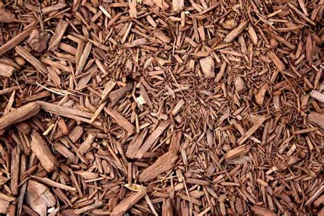 wood chips    organic mulch big blog  gardening
