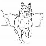 Coloring Siberian Husky Designlooter sketch template
