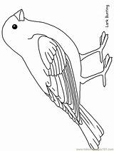 Coloring Bird Pages Animals Printable Color Template Robin Birds Patterns Drawings Print Outlines Coloringpagebook Popular Templates Printables Ws Advertisement Choose sketch template