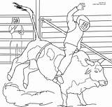 Stier Ausmalbilder Pbr Rider Bucking Ferdinand Cowboy Malvorlagen sketch template