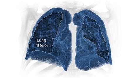lungs  weve  published     york times