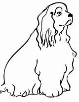 Spaniel Cocker Coloring Pages Dog Cockapoo Clipart Cliparts Template Drawings Clip Library Printable Getcolorings Getdrawings Color 35kb 1275 sketch template