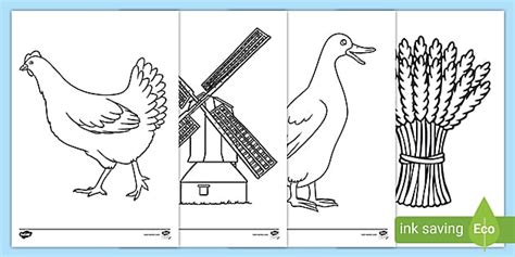 red hen colouring sheets teacher  twinkl