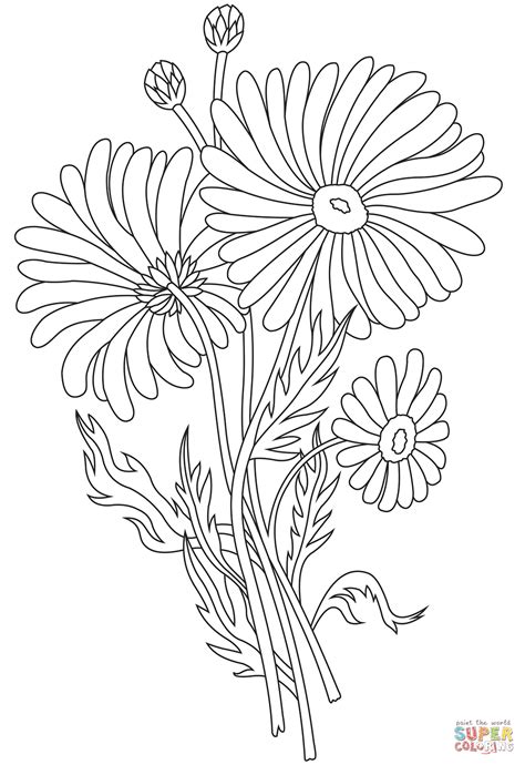 printable daisy coloring pages printable word searches
