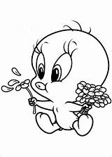 Baby Tweety Flowers Coloring Pages Categories sketch template