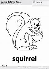 Squirrel Coloring Simple Dickory Hickory Crash Kindergarten Worksheets Super Printable Supersimple Worksheeto sketch template