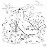 Chicks Ducklings Sunny sketch template