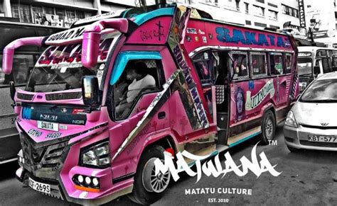 fresh  exciting  series matatu matwana culture premiers  tv
