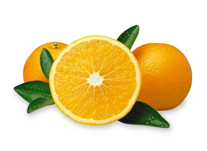 naranjas en internet el mundo de las naranjas