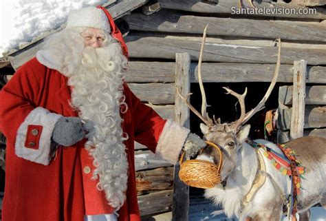 Photo Santa’s Reindeer In Lapland Image Father Christmas Reindeer