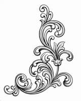 Filigree Bloemenornament Victoriaanse Uitstekende Barokke Kadergrens Rol Kalligrafische Ornamente Ornamento Calligraphic Vorlagen Rotolo Annata Barrocco Cadre Tatouage Florale Vecteur Monogramma sketch template