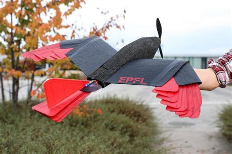 raptor inspired drone  morphing wing  tail  unprecedented flight agility