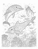 Mandalas Dolphin Oceana sketch template