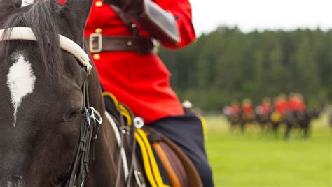 second 100m settlement announced in rcmp sexual harassment case