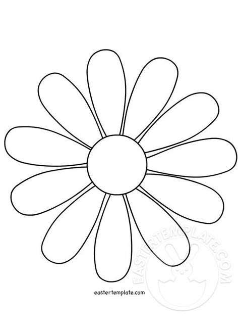 flower   drawn   shape   daisy  petals   side