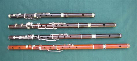 flutes   stroll   park larry mallette irish flute