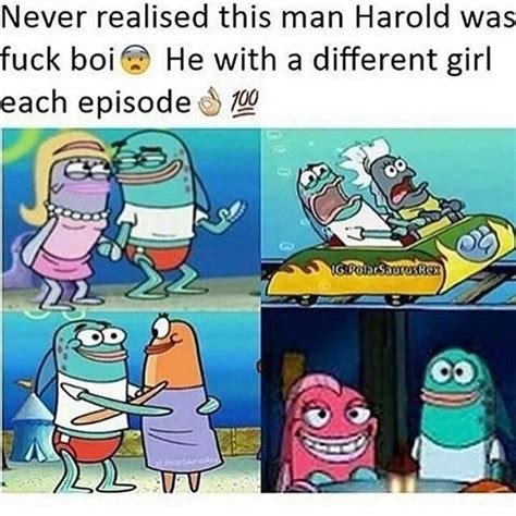 harold from spongebob funny spongebob memes spongebob