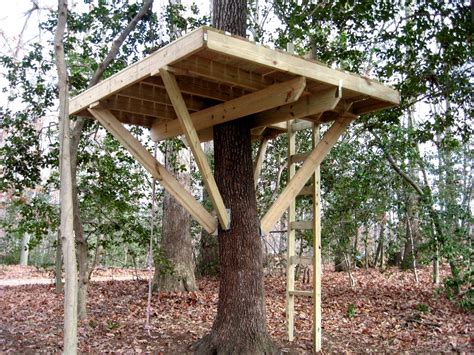 build  tree house  tips  building kids treehouse