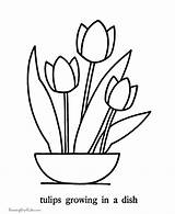Coloring Tulip Flowers Pages Flower Tulips Simple Printable Pointillism Basic Easy Print Large Colouring Traceable Kids Friends Color Patterns May sketch template