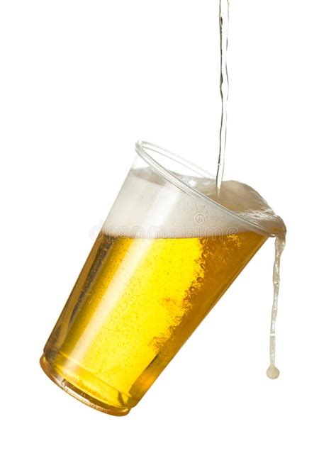 golden lager  beer  disposable plastic cup stock image image