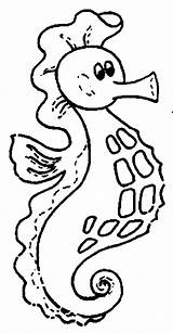 Seahorse Coloring Fat Pouch Pages Sizable Cliparts Seaweed Use Clipart sketch template