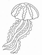 Jellyfish Line Drawing Coloring Paintingvalley Drawings sketch template