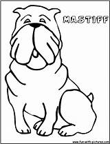 Mastiff Henry Mudge sketch template